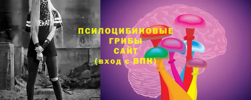 omg ссылки  Новоульяновск  Псилоцибиновые грибы Cubensis 